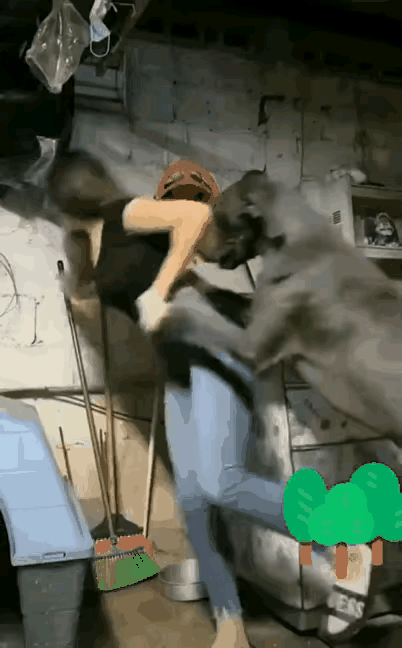 这个女孩养几条大狗，这条黑色狗子站起来高过女孩。没有事和狗親切互动也有趣味。