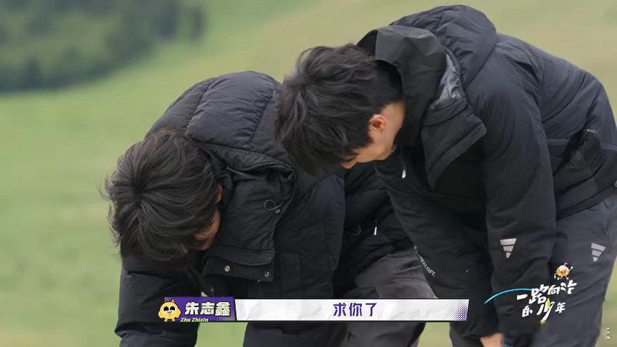 羊把苏新皓的手当跨杆了谁懂这个名场面！苏新皓伸手想去逗小羊，小羊不领情，直接把他