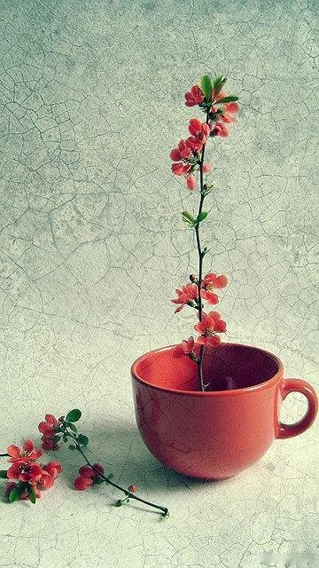 Where there is life, there is hope. 有生命必