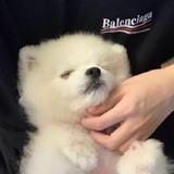 柱贵玩玩科技