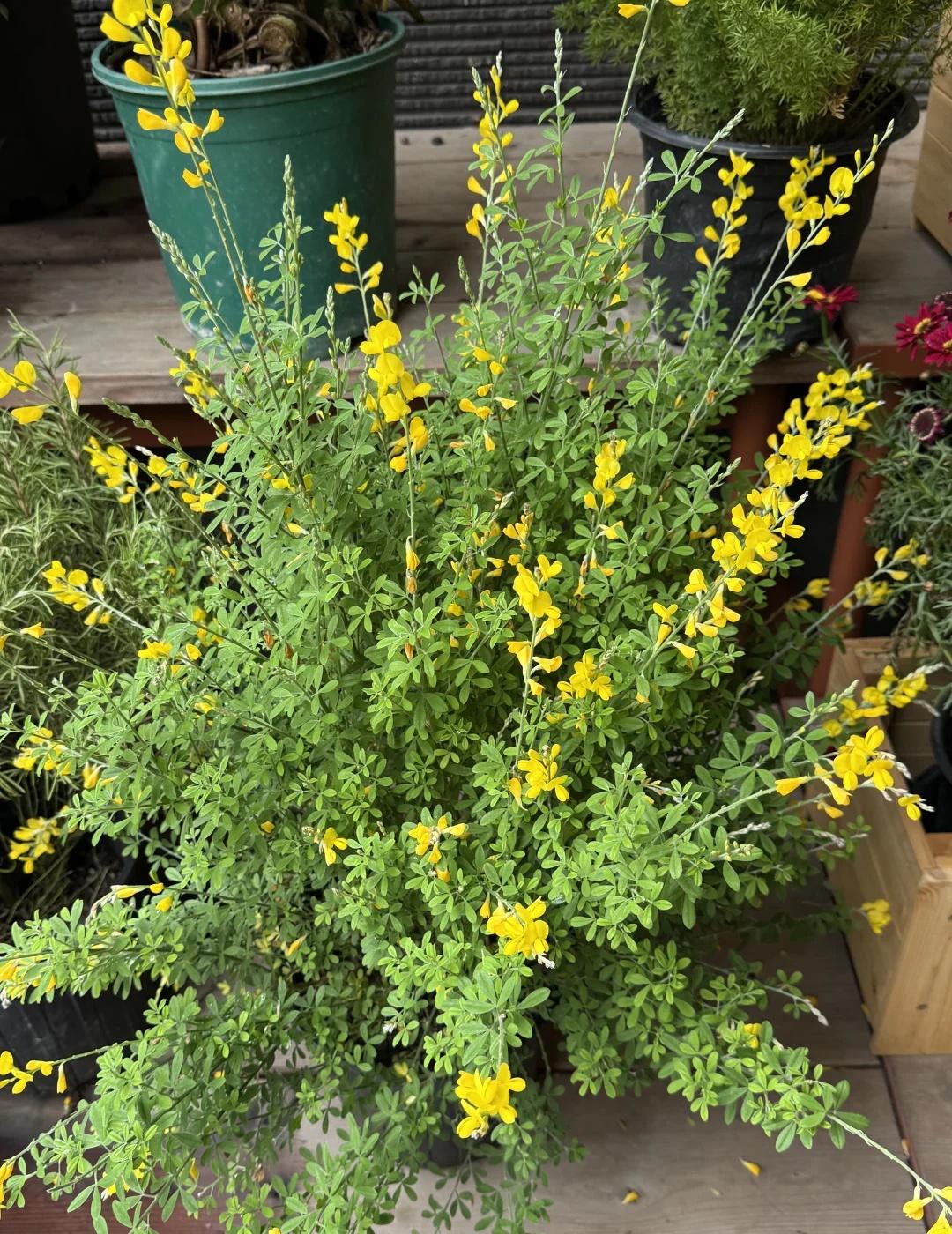 从情侣博主说wang夫
浪漫生活的记录者 笔记灵感
虽然我真的是不喜欢情侣博主，