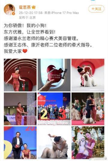 霍思燕爱犬在国际比赛夺冠 在国际犬展中获得冠军，霍思燕以优雅的姿态与力量向世界展