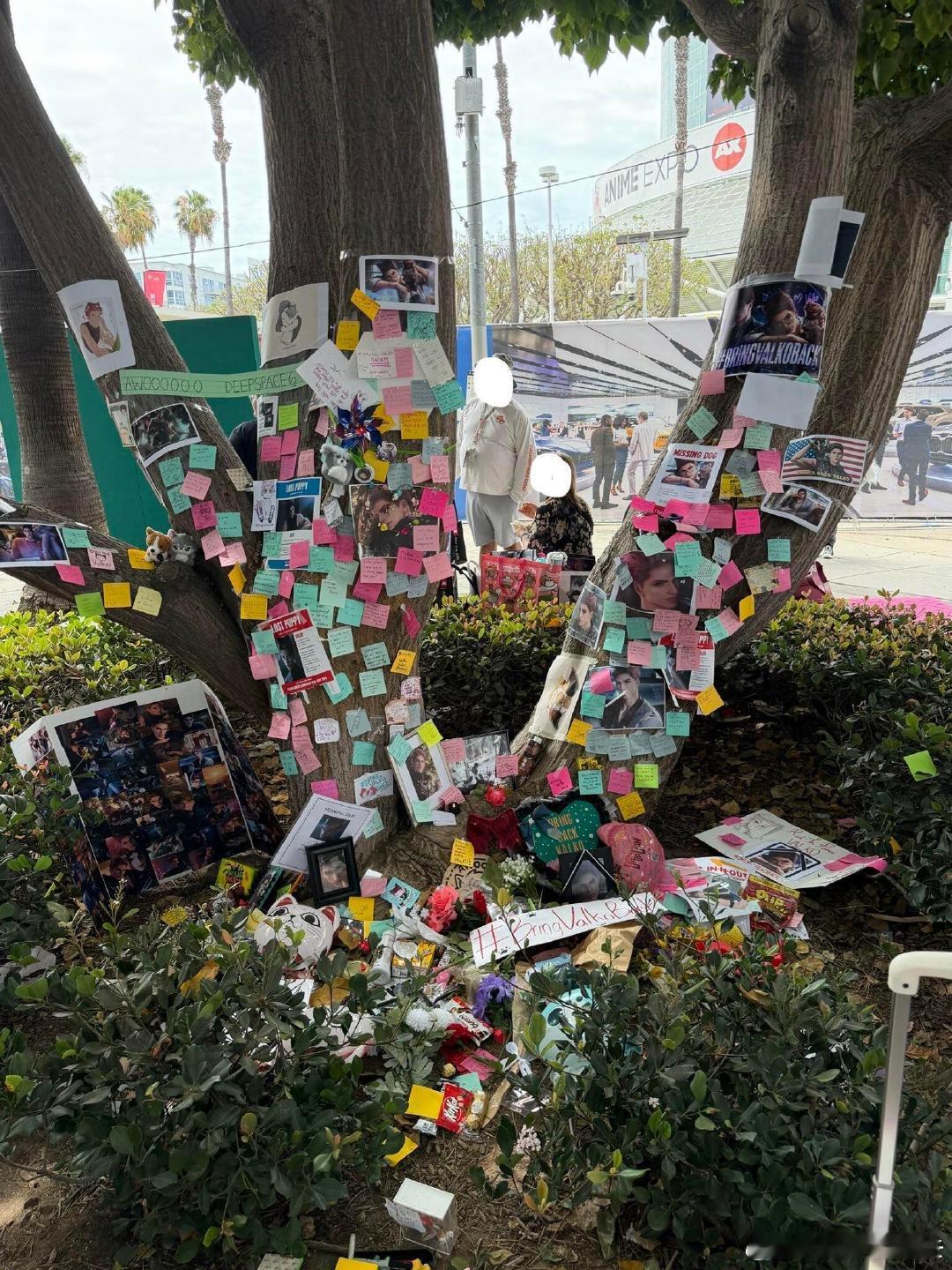 敖尹追悼会都搞上了敖尹都有追悼会了只是游戏企划调整，线下搞这种氛围感极强的布置，