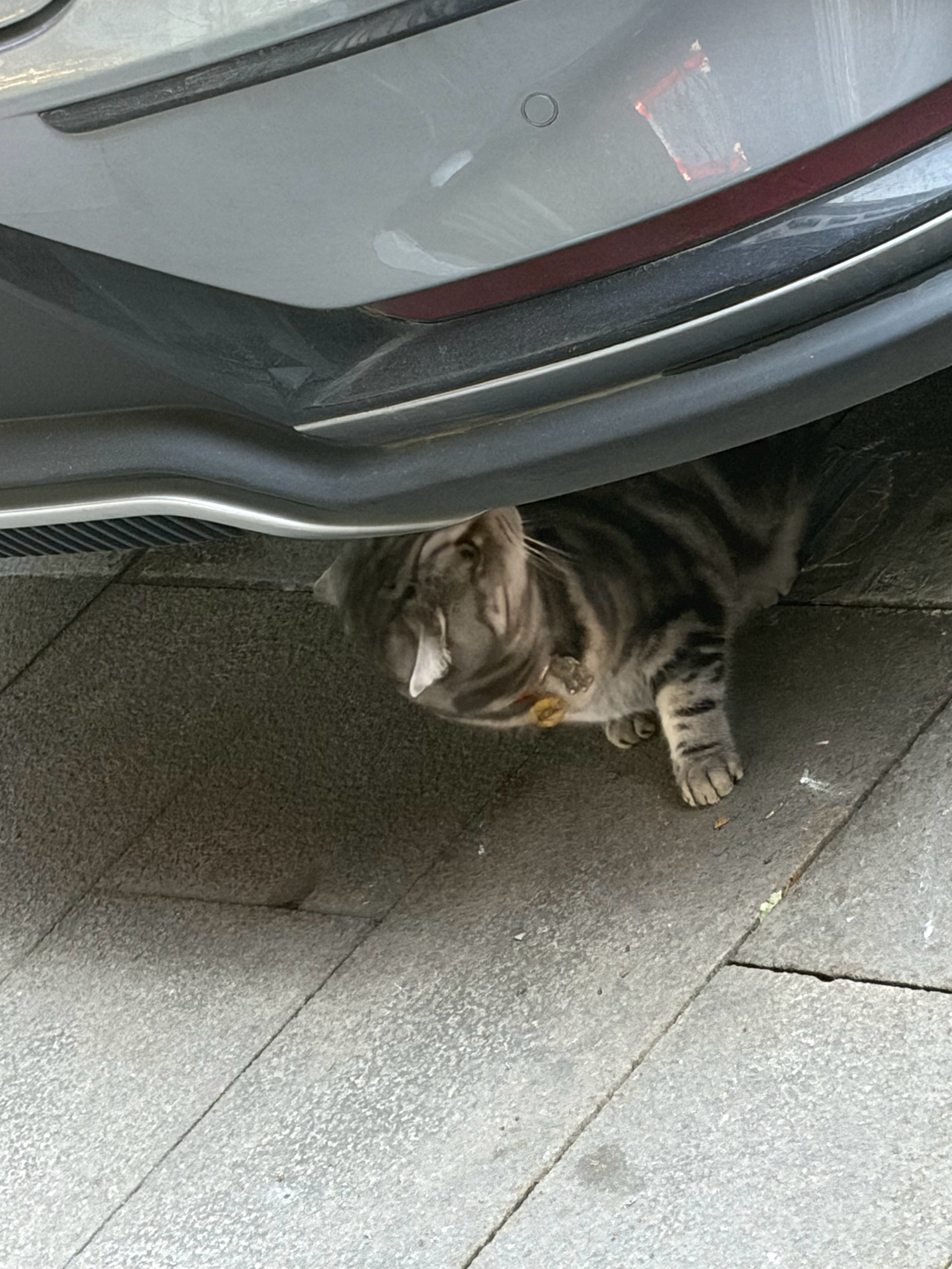 ki师傅首创“嗅车法”修车通过师傅自身强大的内置力量可以更精准地发现车辆隐藏的问