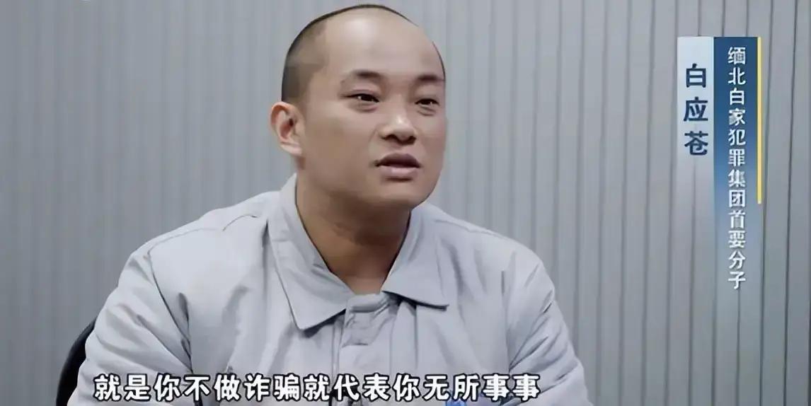 缅北电诈犯罪头目白应苍谈到当地的诈骗风气时说，“不做诈骗，就代表无所事事。我觉得