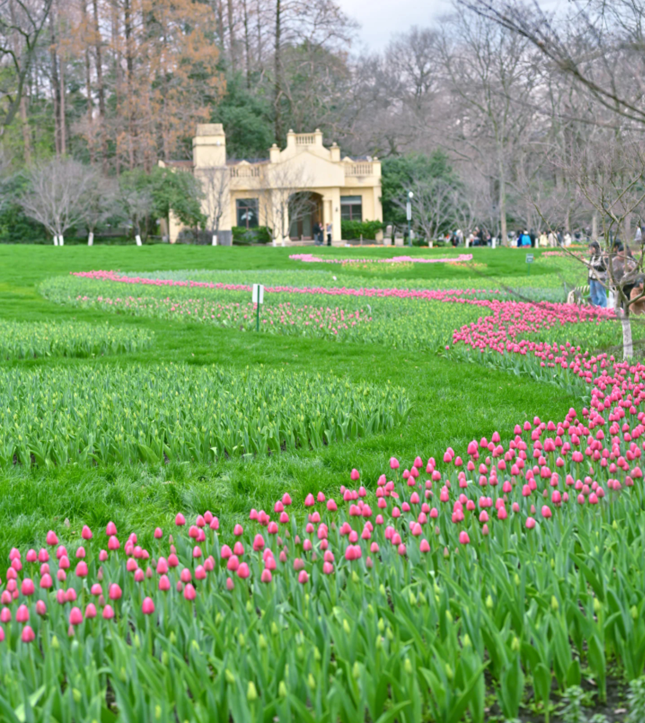 春天来了，愿你的生活也来到了春天 