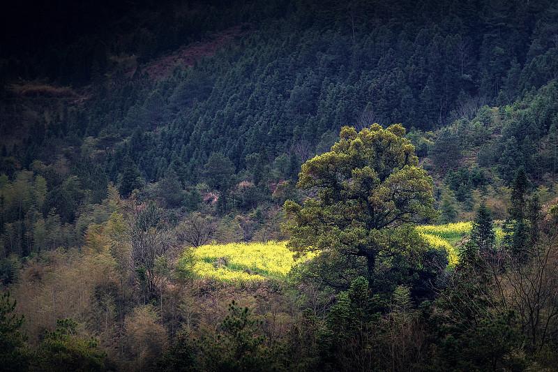 “山重水复疑无路”这句上联，简直绝了！它把那种身处困境、前路迷茫的感觉刻画得入木
