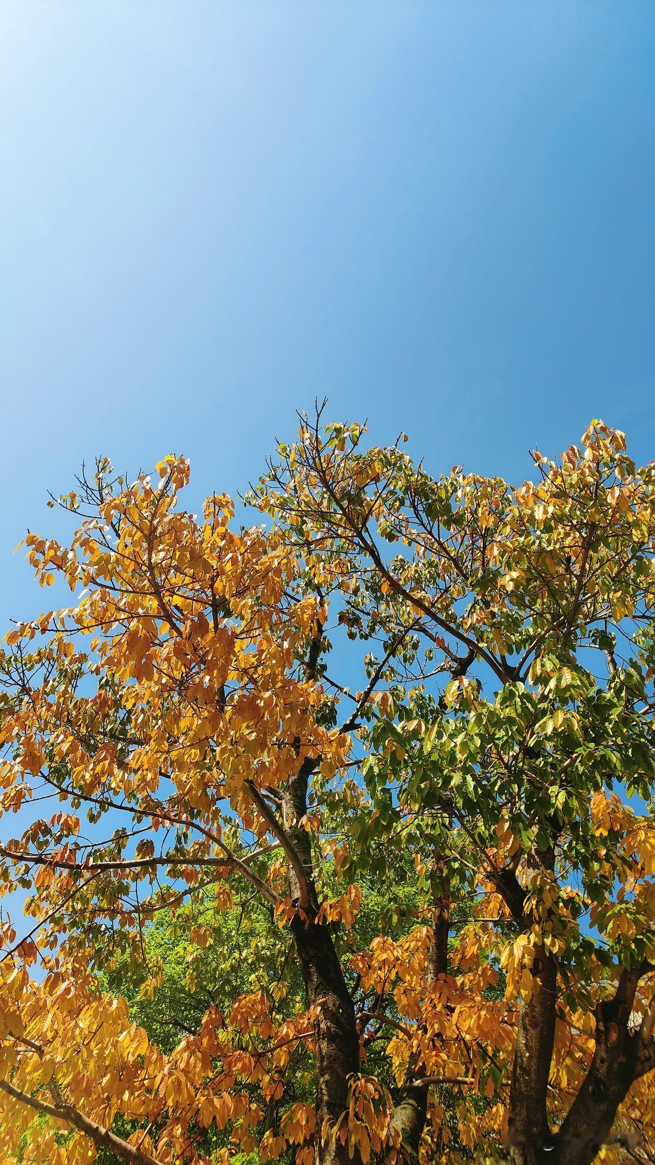 只要我闭眼凝神，我的精神将会以我的意思揉捏在一起，然后观察到万物本该有应有的样子