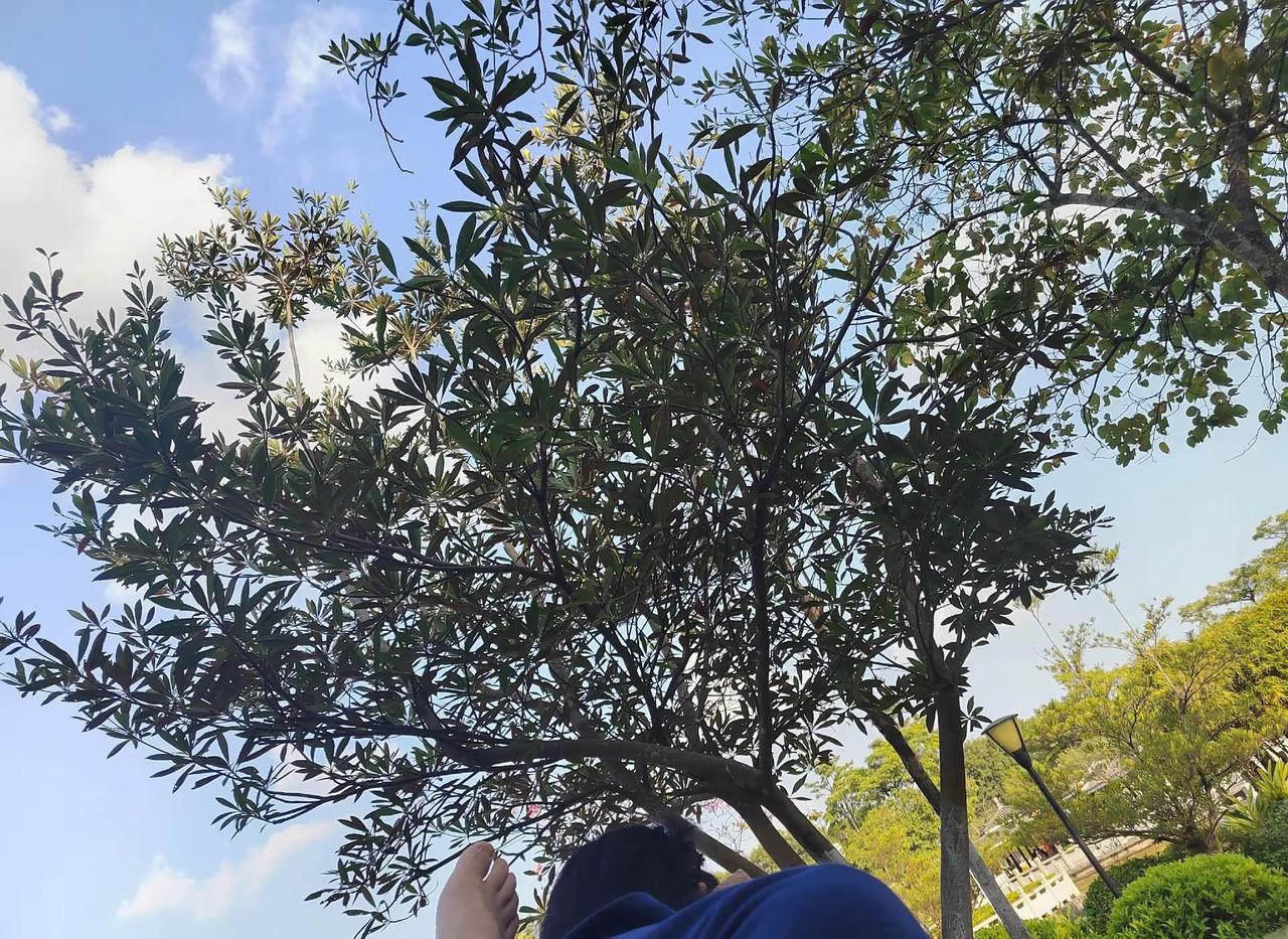 慢节奏，慢生活！在大自然里chill 享受自由 享受大自然