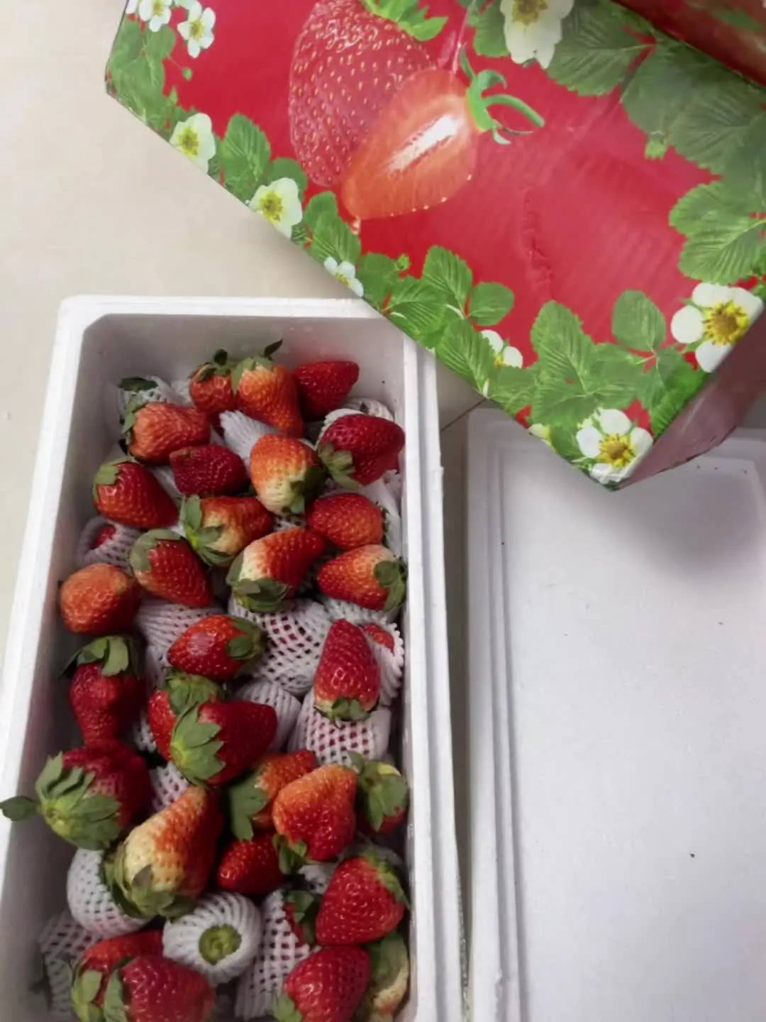 我说我想吃草莓 我就有草莓吃 我开心不是因为我有草莓吃 而是我知道有人...