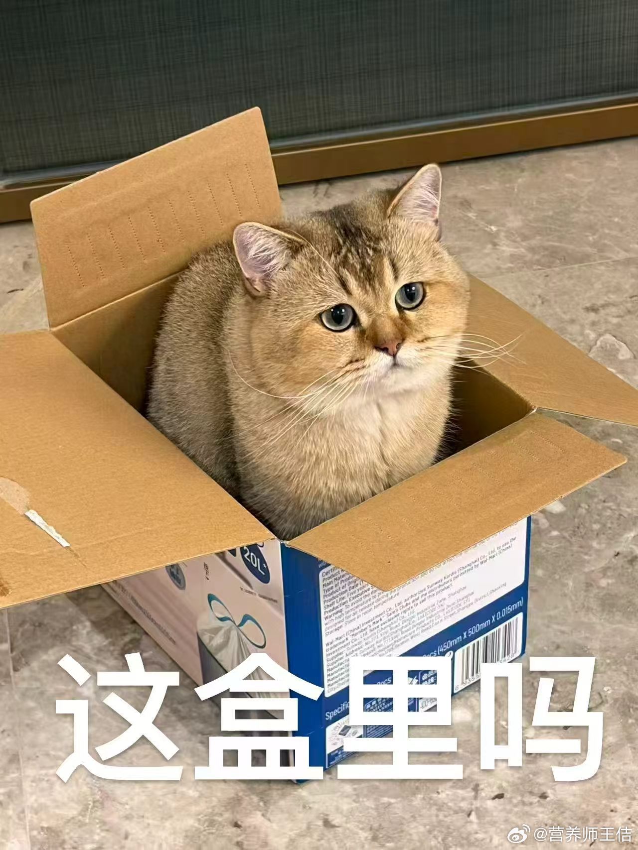 草不该看暴雨末世文的，今天一睁眼tmd还在下雨，我满脑子都是要去超市囤物资了这几