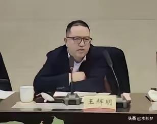中国移动王辉明被查，为什么网友一片欢腾？
 
8月7日，官方通报：中国移动重庆公