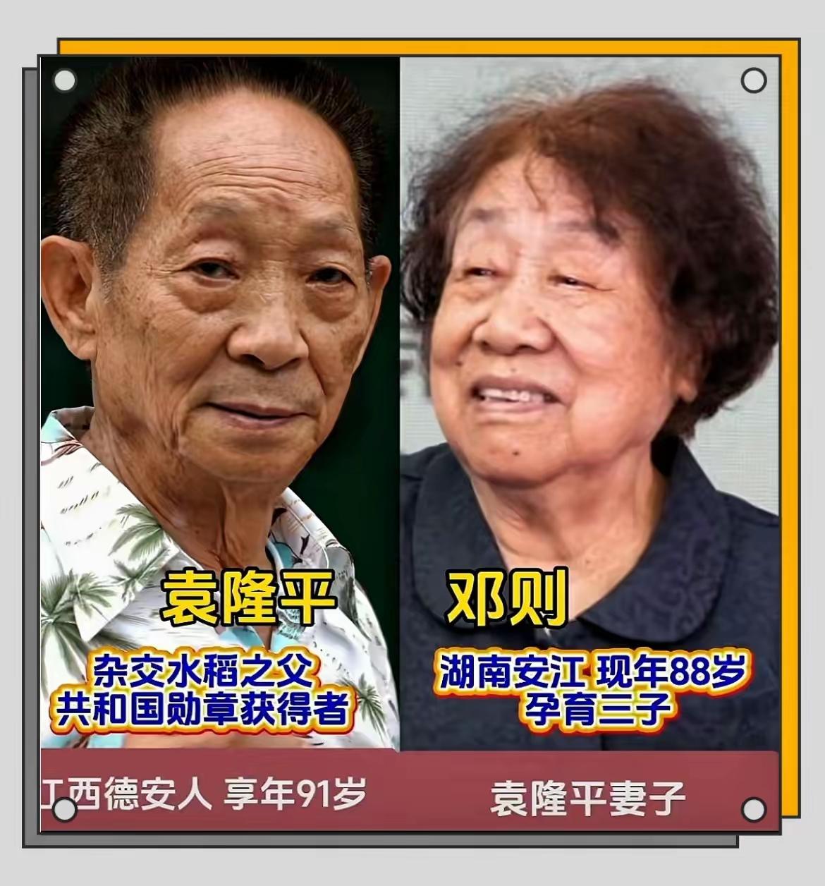 袁隆平老先生的一家才是真正的厉害呀，你看看袁隆平已经是“杂交水稻之父了”三个儿子