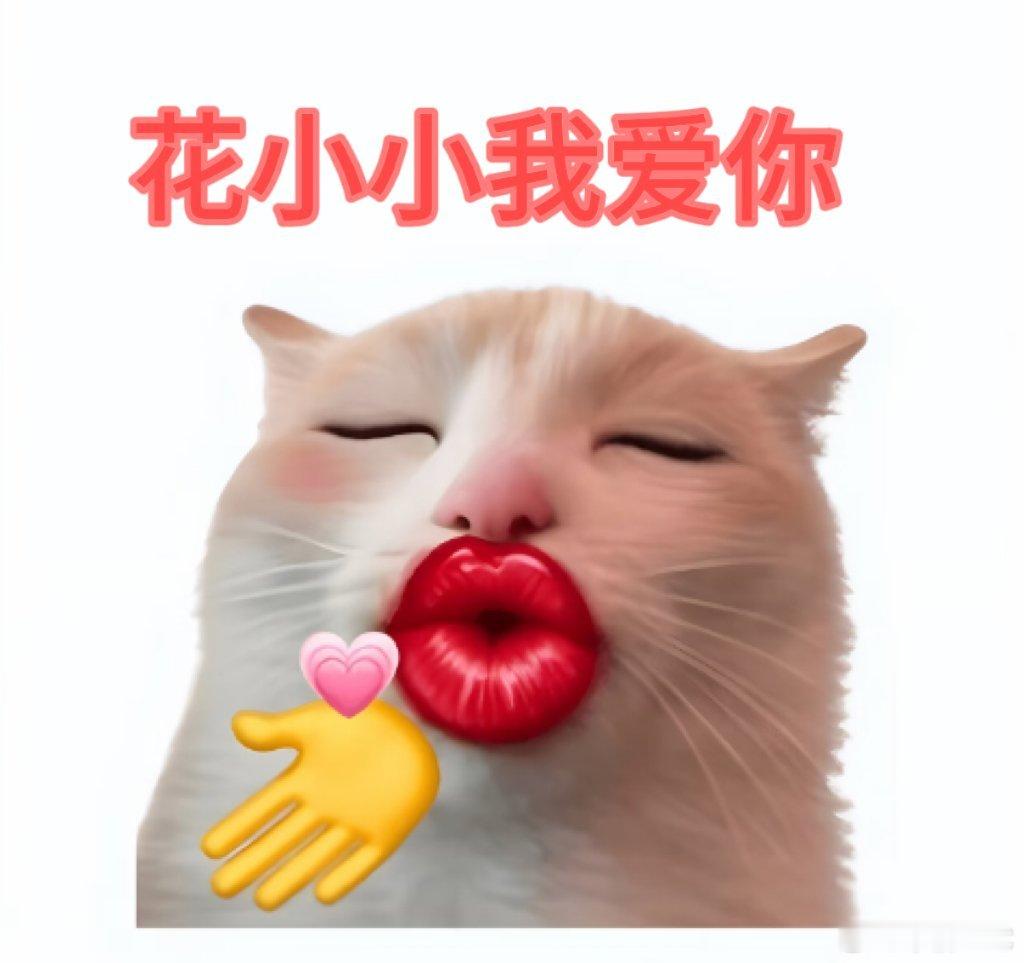被花小小爆辣炒米粉硬控的两分钟经典鸡炒牛炒永不过时，花小小在此基础上开发大盘鸡番