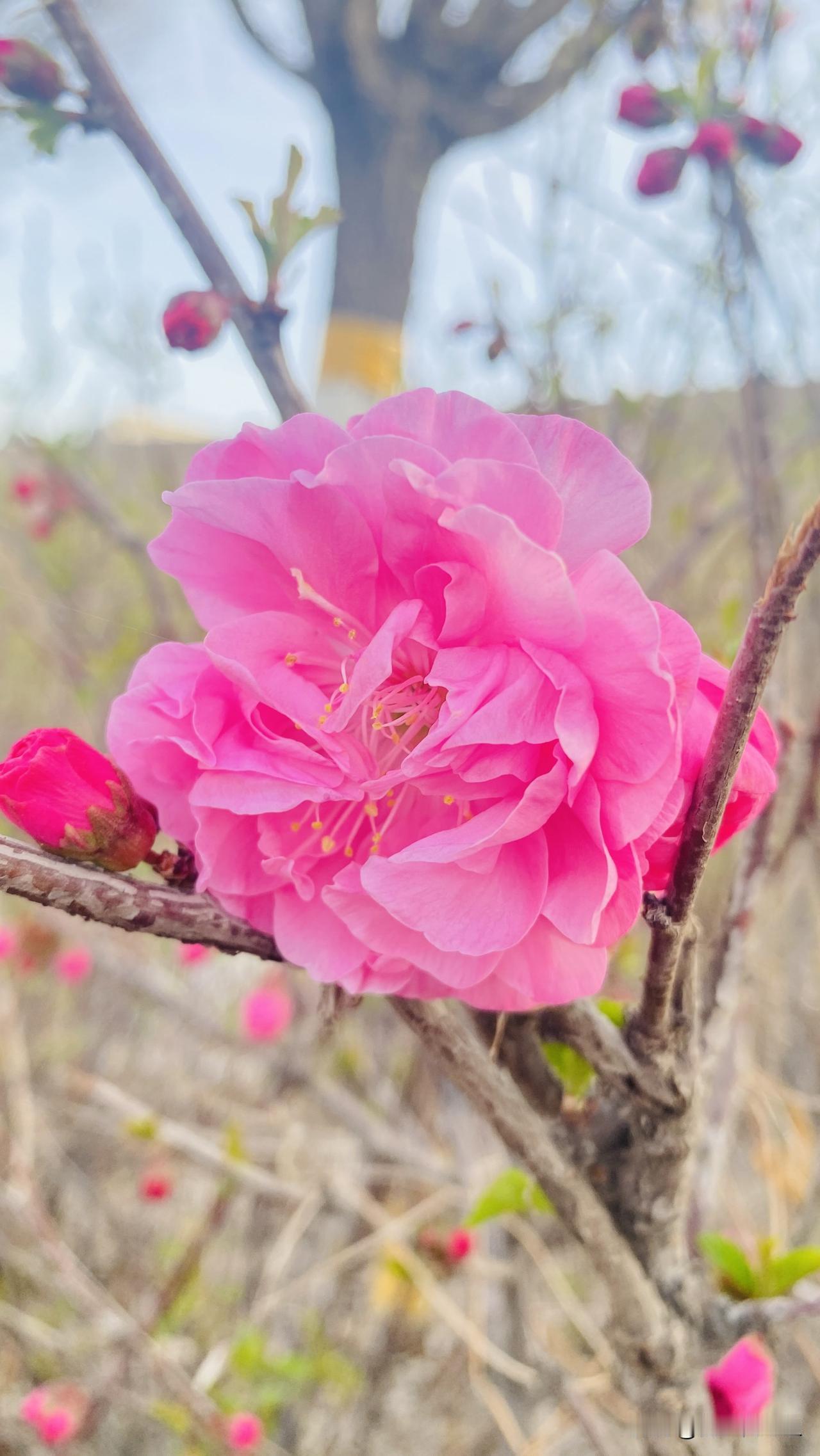 外地的车也越来越多，感觉乌鲁木齐一下涌进来了很多人啊。

我在今年2026年我的