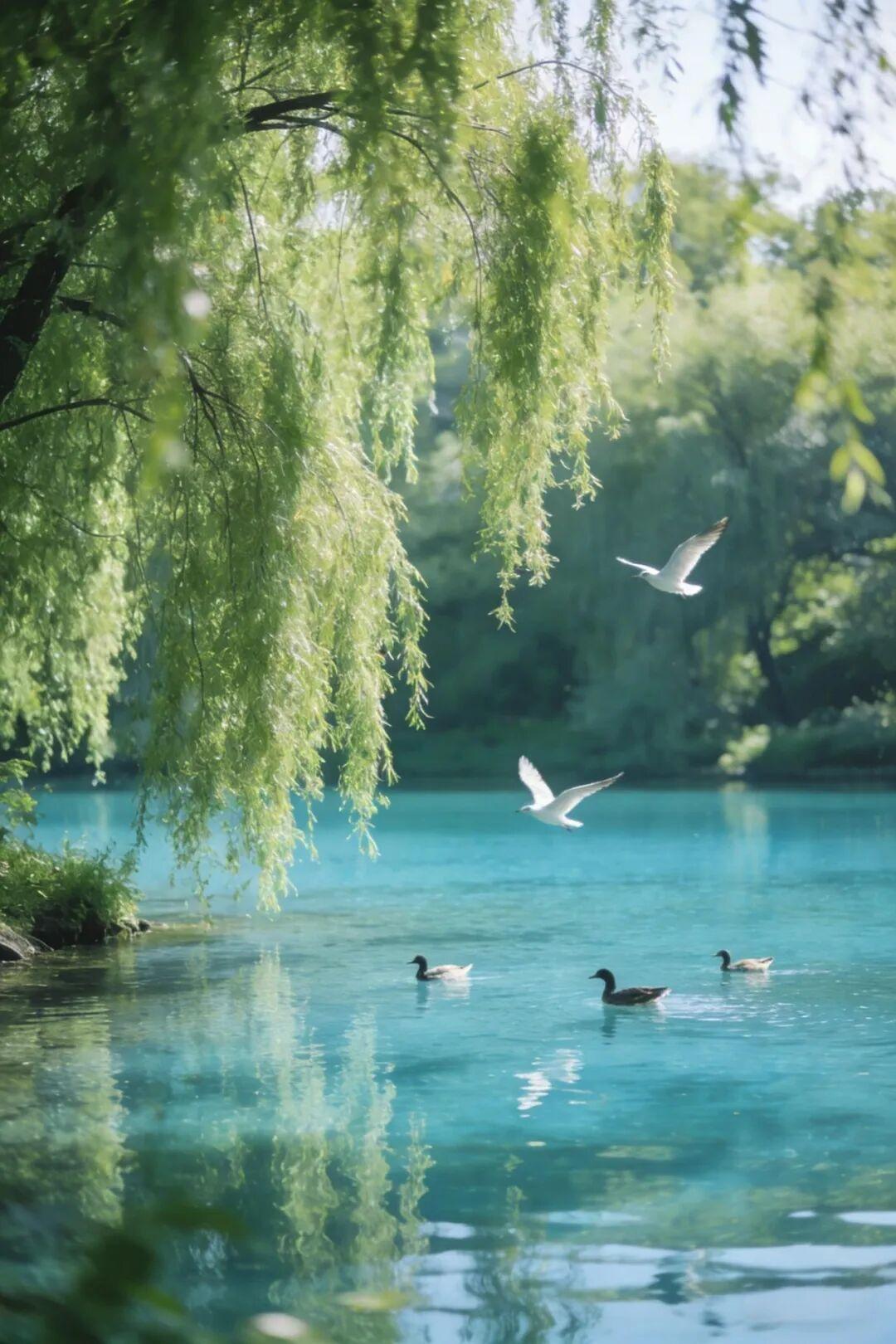 张雪峰的形象——语速飞快、段子密集、激情四射——在很多人眼中无疑是“有趣”的。但