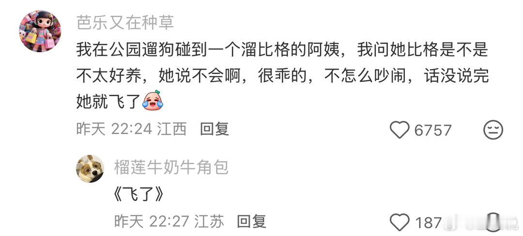 苦难是文学的蹦床春风里派对你好春天
