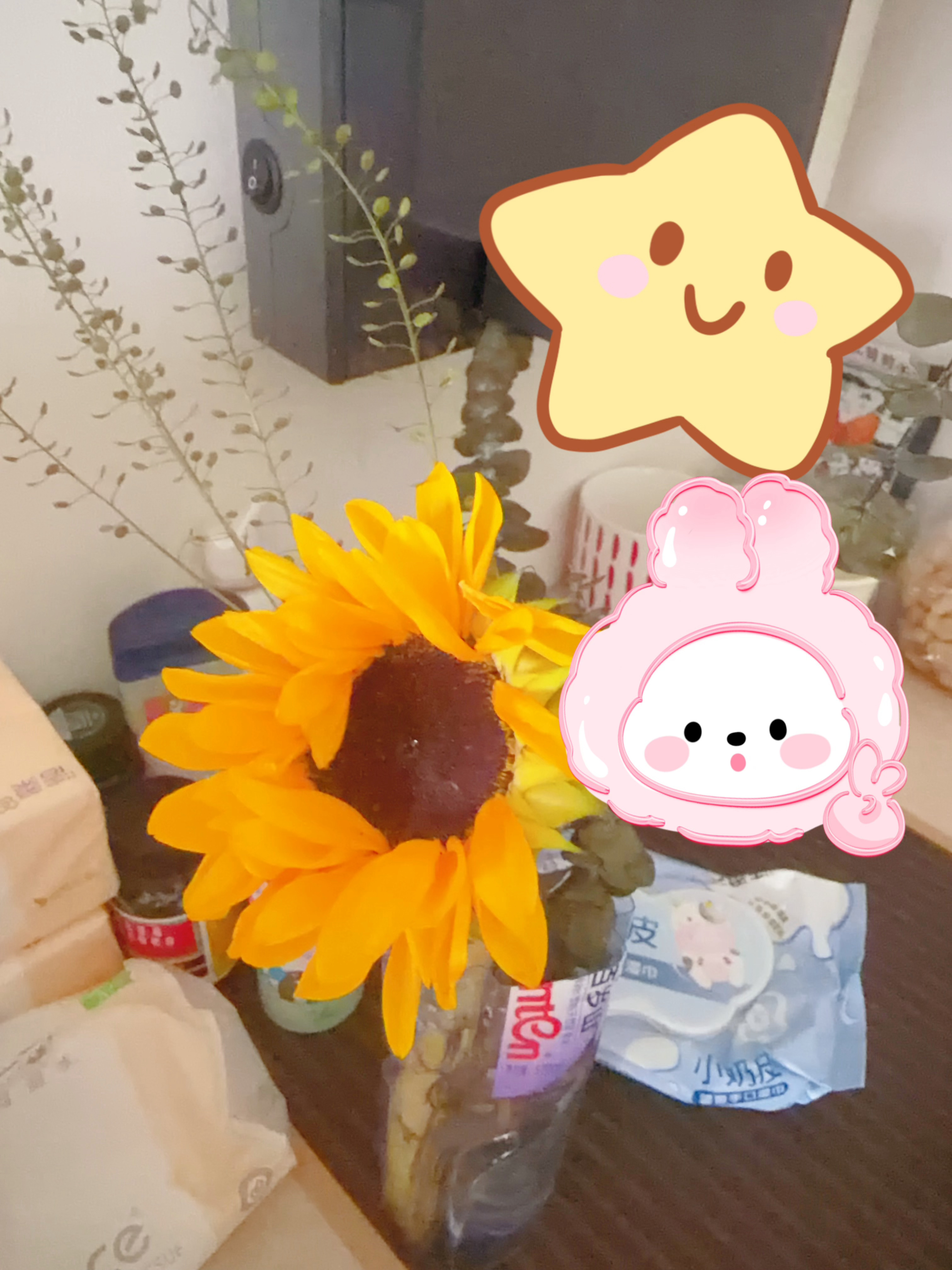 AAA藤城陈异观察站异起养花，花束里抽的🌻，只有它还顽强地挺到了第六天
