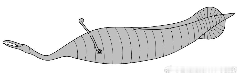 今天除夕夜了。时间仿佛在加速。刷了几个小视频一年就过去了……关于去年，起初是打下