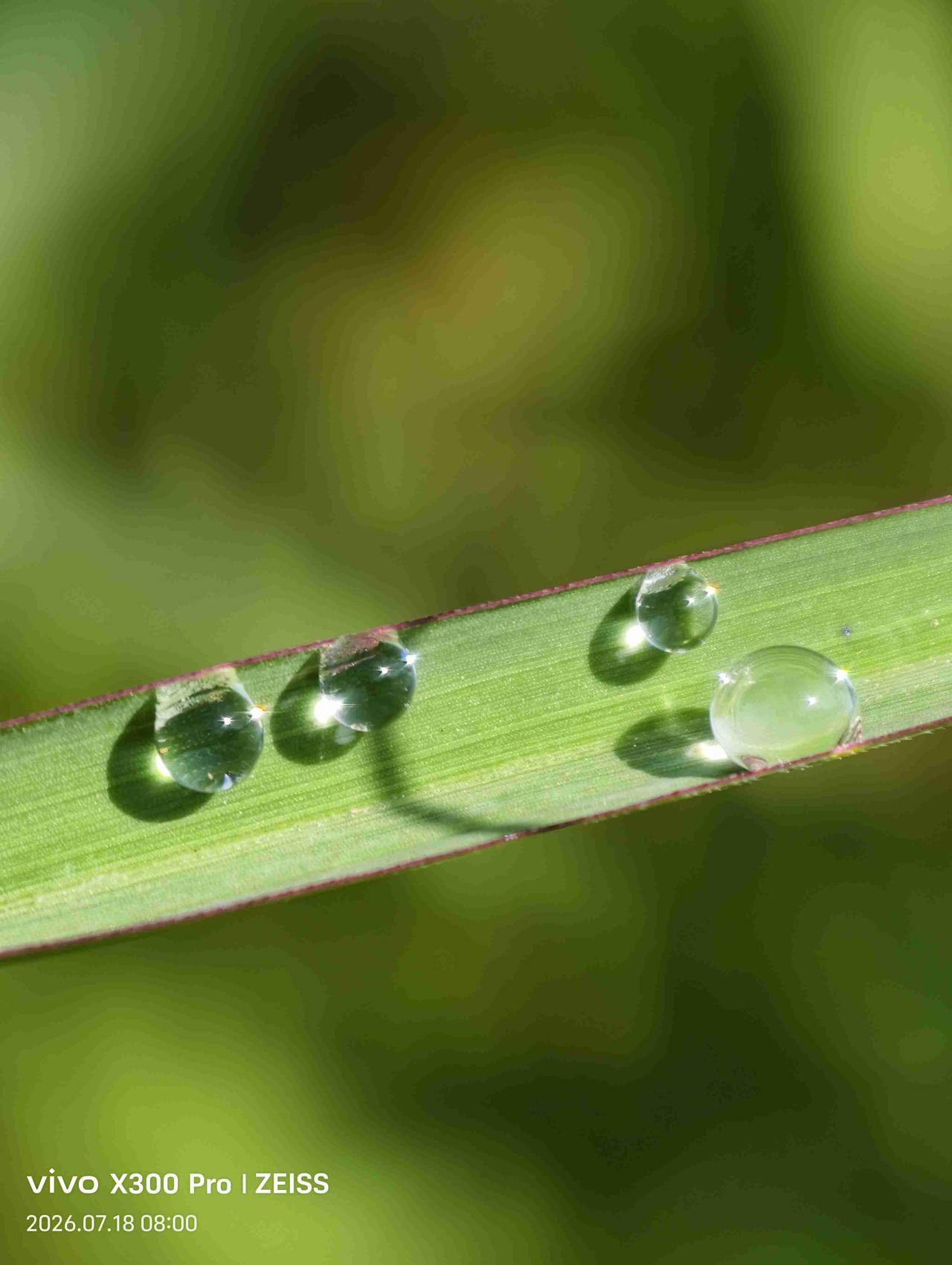 今天天气，阵雨，气温20度至29度，东风1级，空气质量优。

适合出游，穿半袖衣