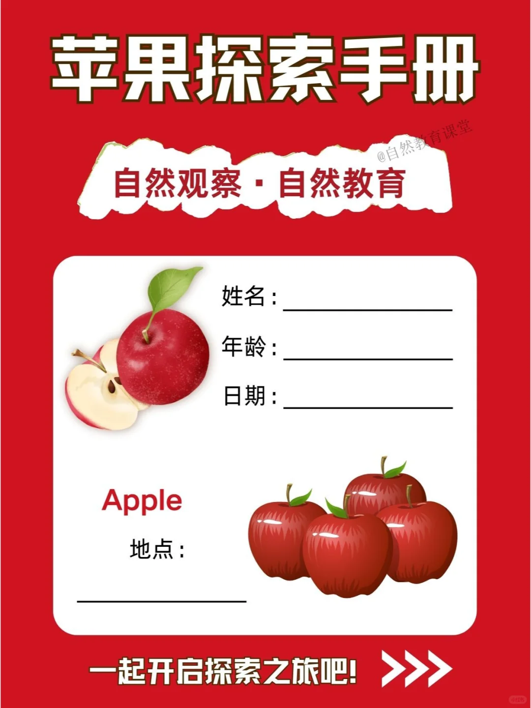 自然教育手册 | 大自然的璀璨瑰宝-苹果