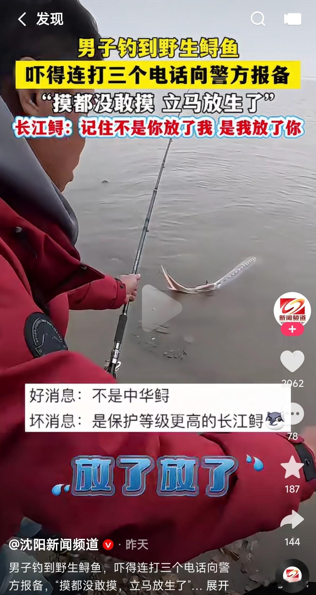 男子钓到保护等级更高的野生长江鲟鱼，吓的连打3个电话向警方报备，摸都没敢摸，立马