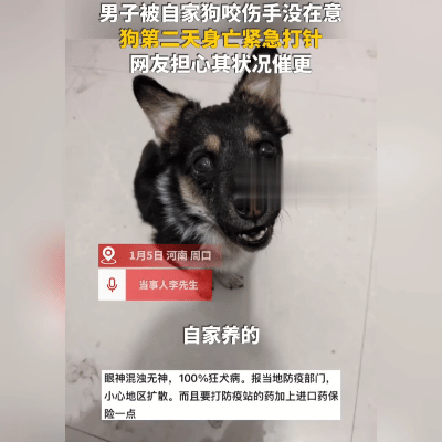 全网揪心！狗亡后男子狂奔打疫苗！
 
河南周口这幕，把网友吓得心跳加速！1月5日