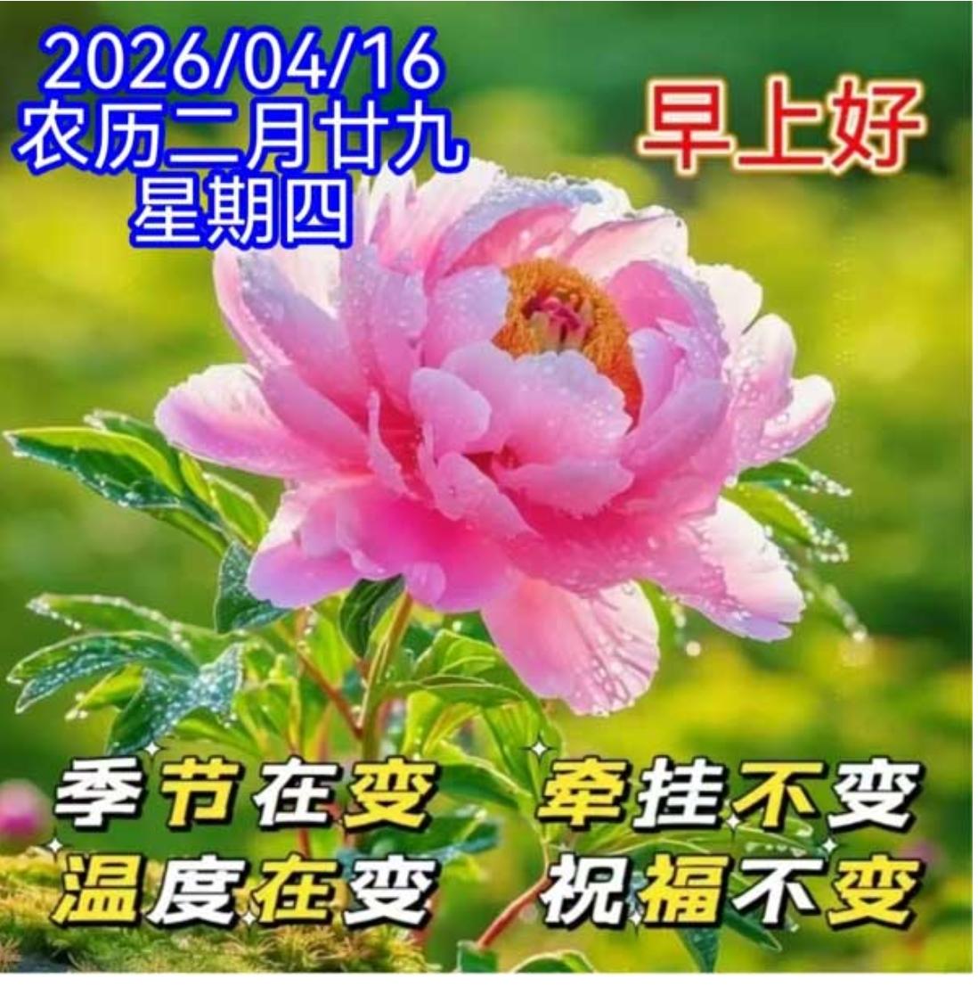 春晨问候，早安吉祥；
朝阳升起，清风拂面；
春回大地，万物向阳；
心有归期，万事