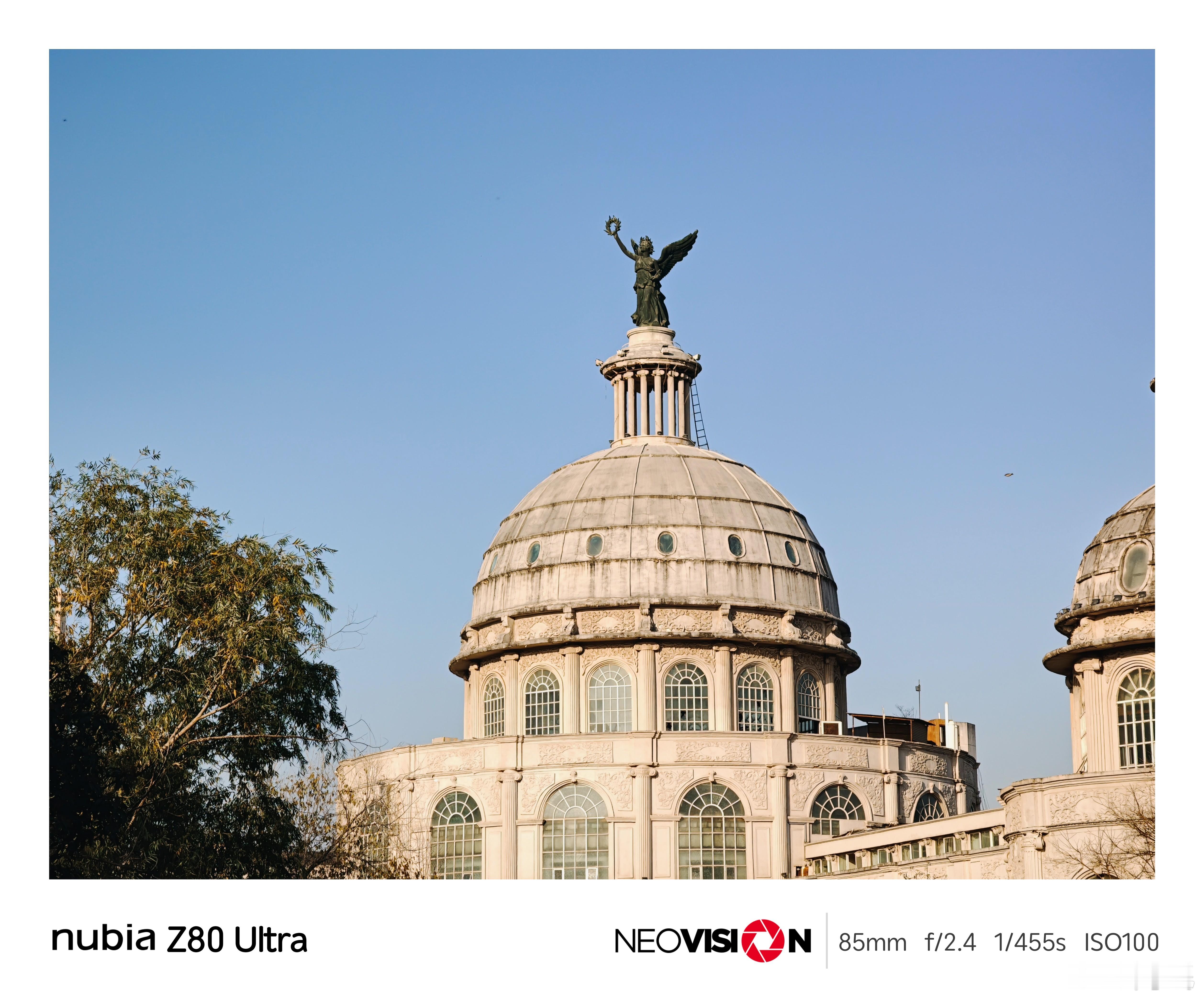 星期天，逛公园，和鸽子们进行了亲密的互动，还好它们没把大粪甩我头上。图片来自努比