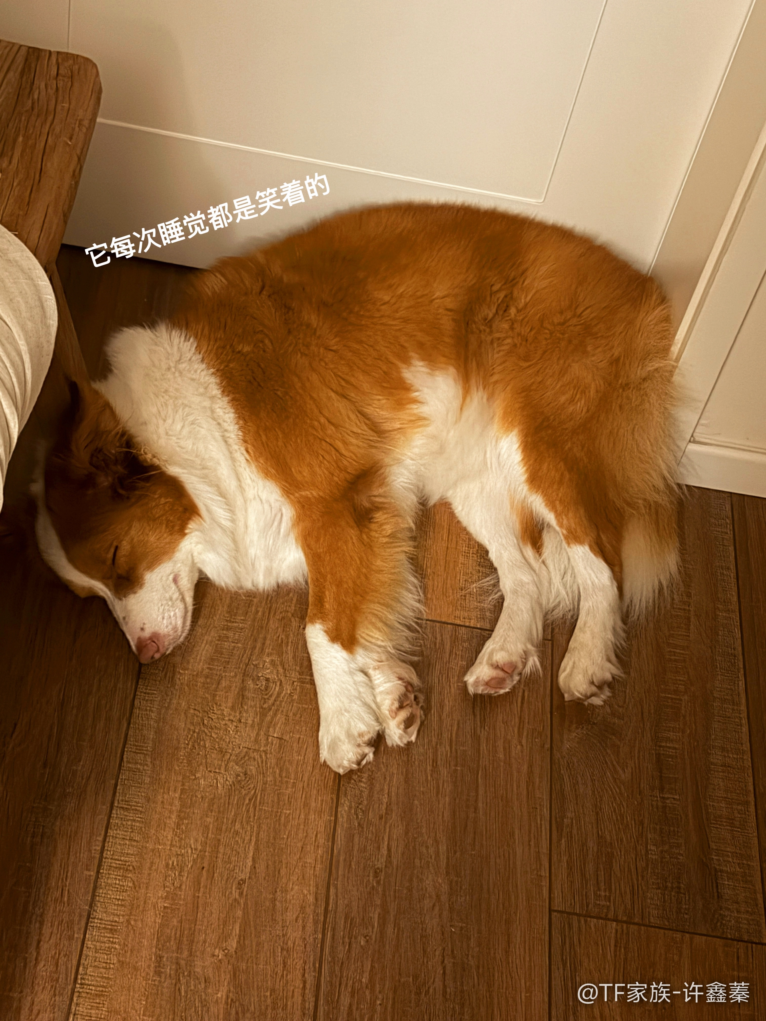 好萌幺妹 