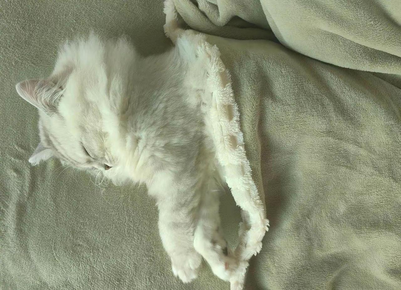 一个原生家庭不幸福的女孩，再遇上一段不幸福的婚姻那将是人生绝杀