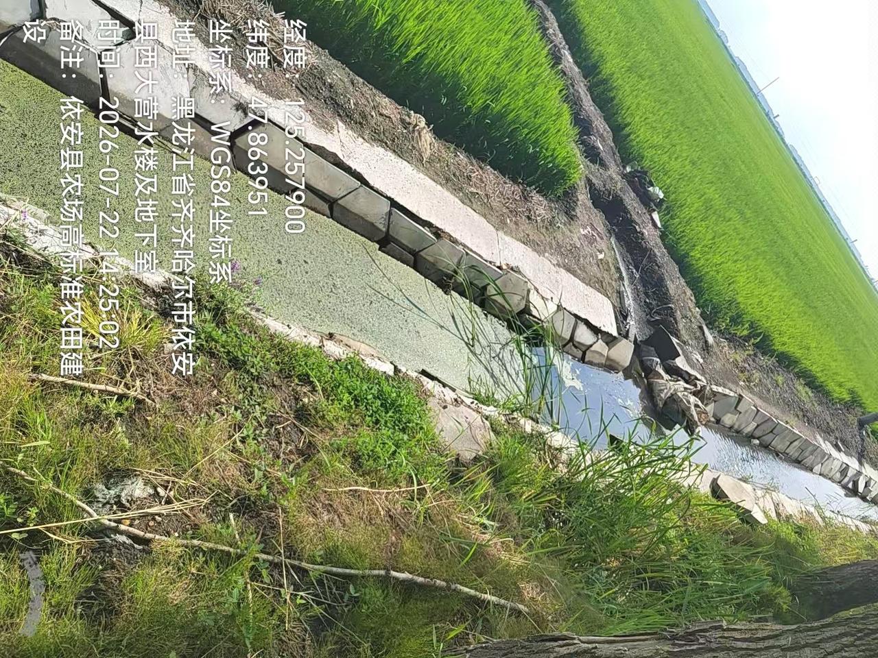 分享今天的随手拍！