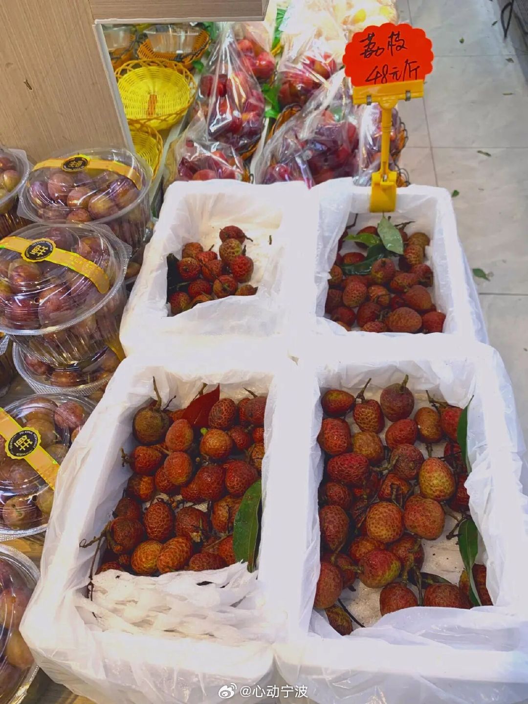 宁波今年首批头茬荔枝上市啦 近日，宁波迎来今年首批头茬荔枝上市，主打品种为海南桂