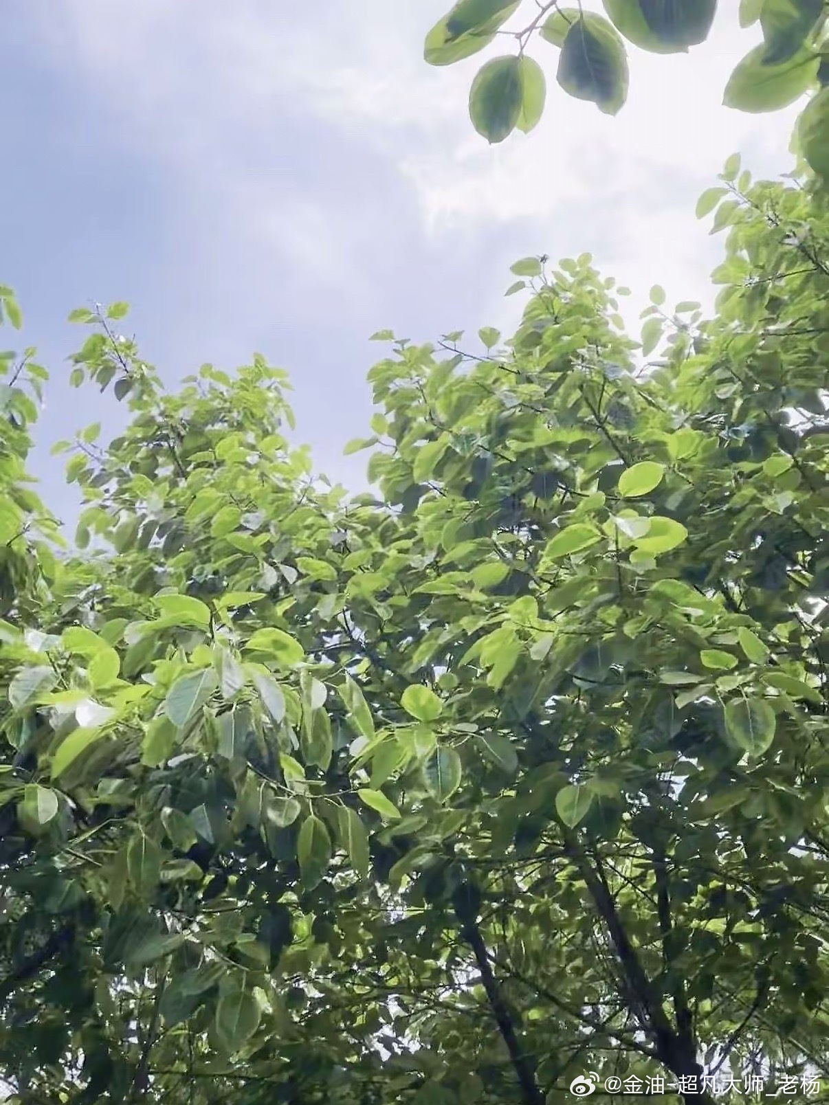 一日之计在于晨，朋友们早！适当出门运动一下，还能除去昨日的疲惫，何乐而不为呢。工