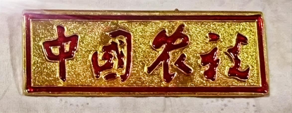 中国农税