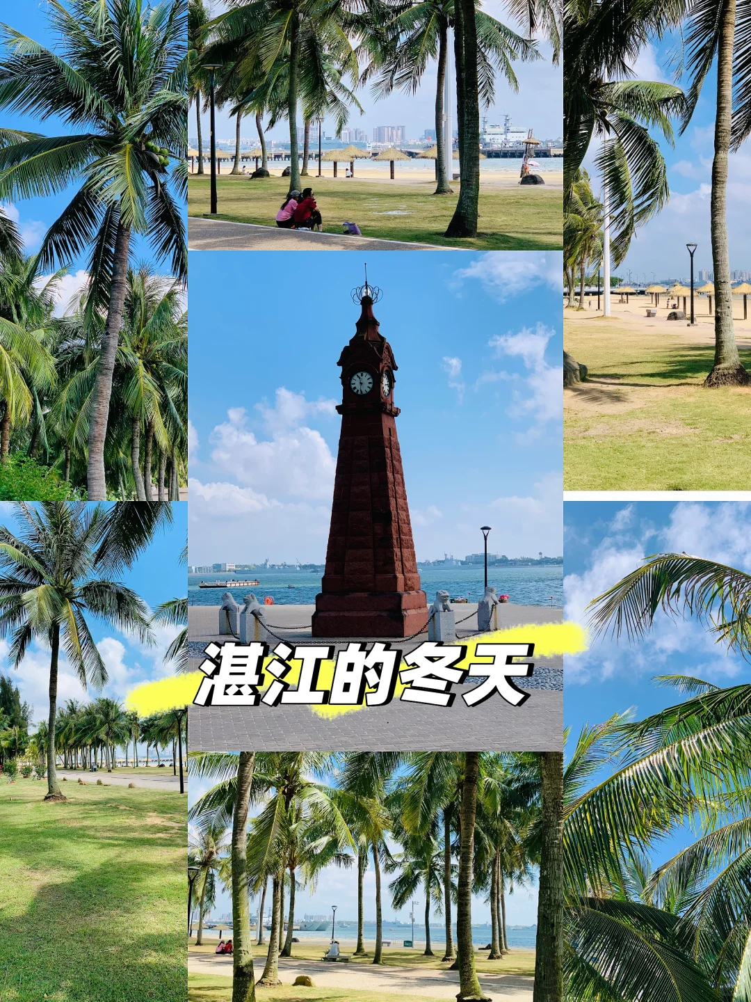湛江的初冬  沙滩、阳光、海浪、椰子🥥