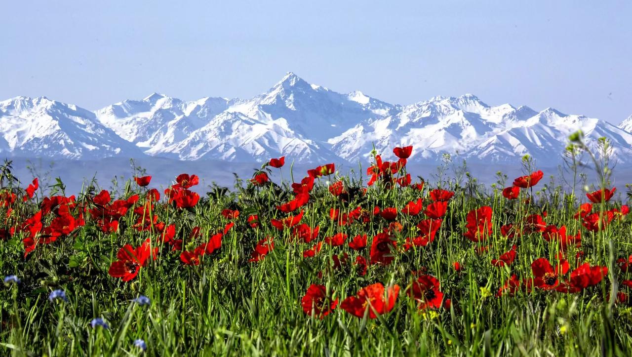 人这辈子，说到底就为两张嘴

别贪，别满，知足就好
 
人活一世，兜兜转转，忙忙