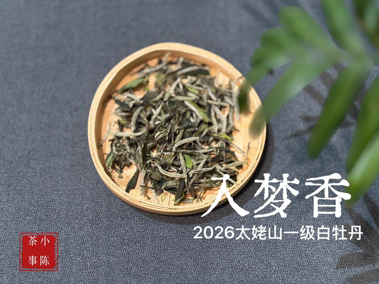 喝茶太多会气血不足吗？
适量饮用高品质的好茶，茶叶能给我们带来长久的滋润，不可能