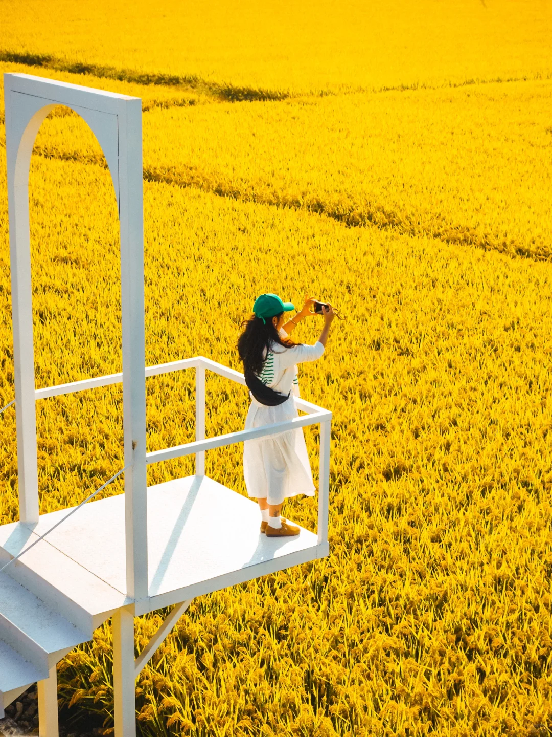 杭州人有自己的喜洲🌾宫崎骏稻田乡村仅0.5h