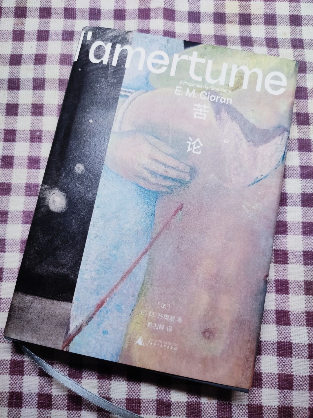 齐奥朗的哲学体验📚