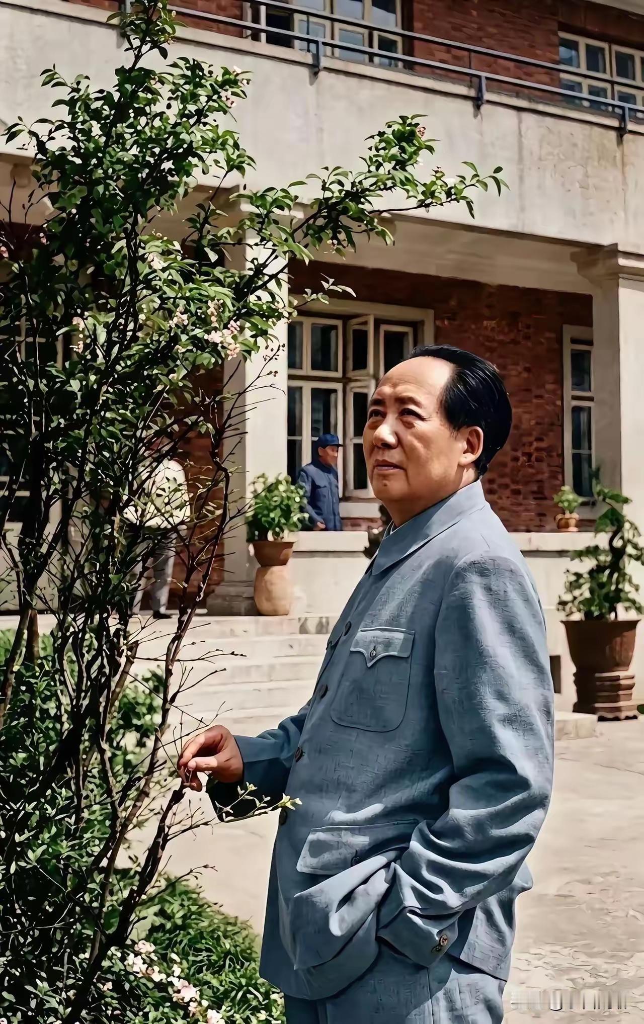 这是毛主席在哪儿？何年拍的照片？