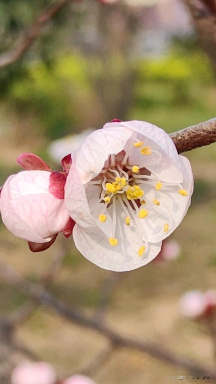 现在的视频，不要超过50秒，长了，就没有完播率，，很长的文章，都不看了[笑哭][