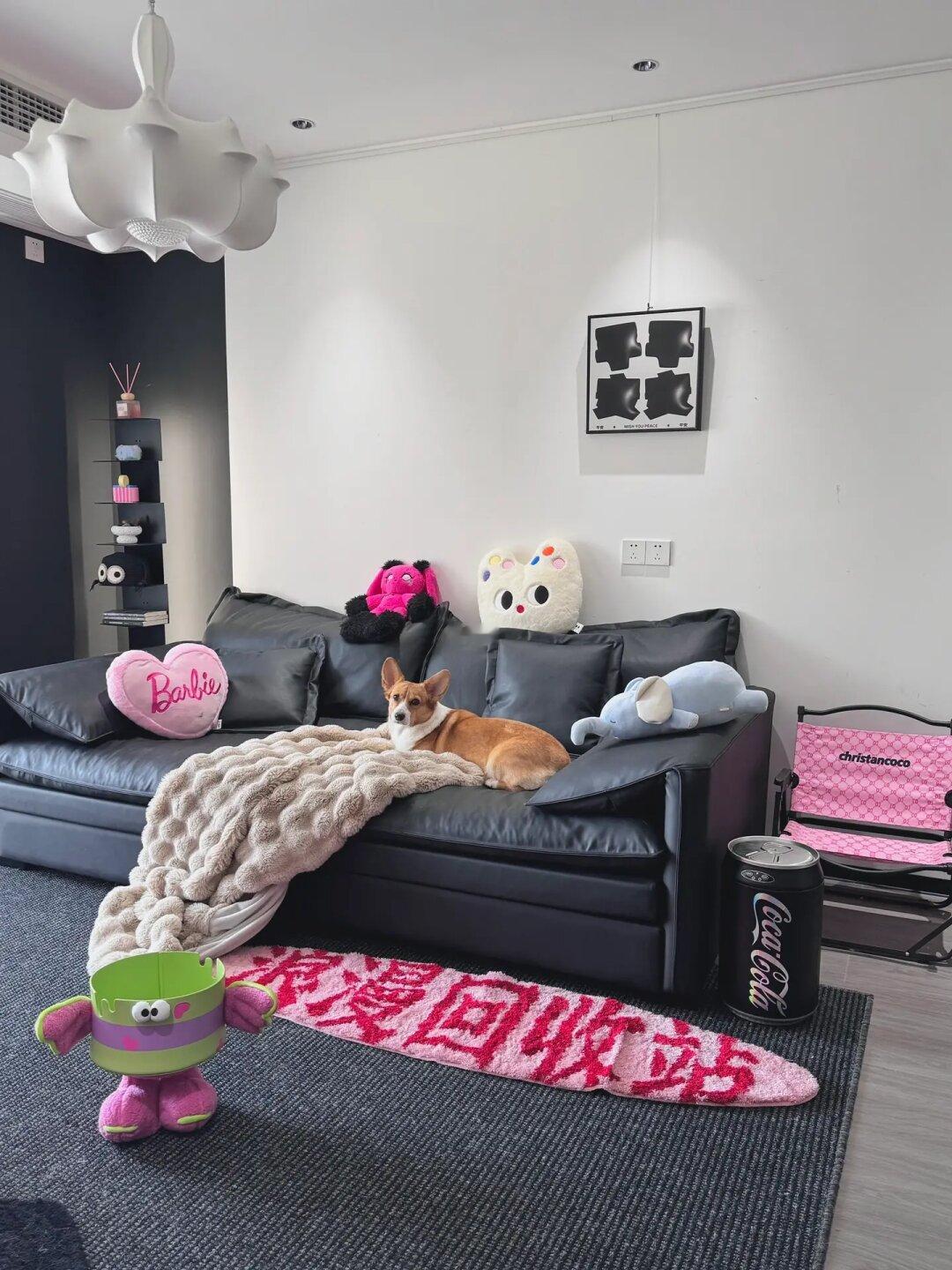我的客厅🛋️全靠这些新奇有趣的小登西🔮