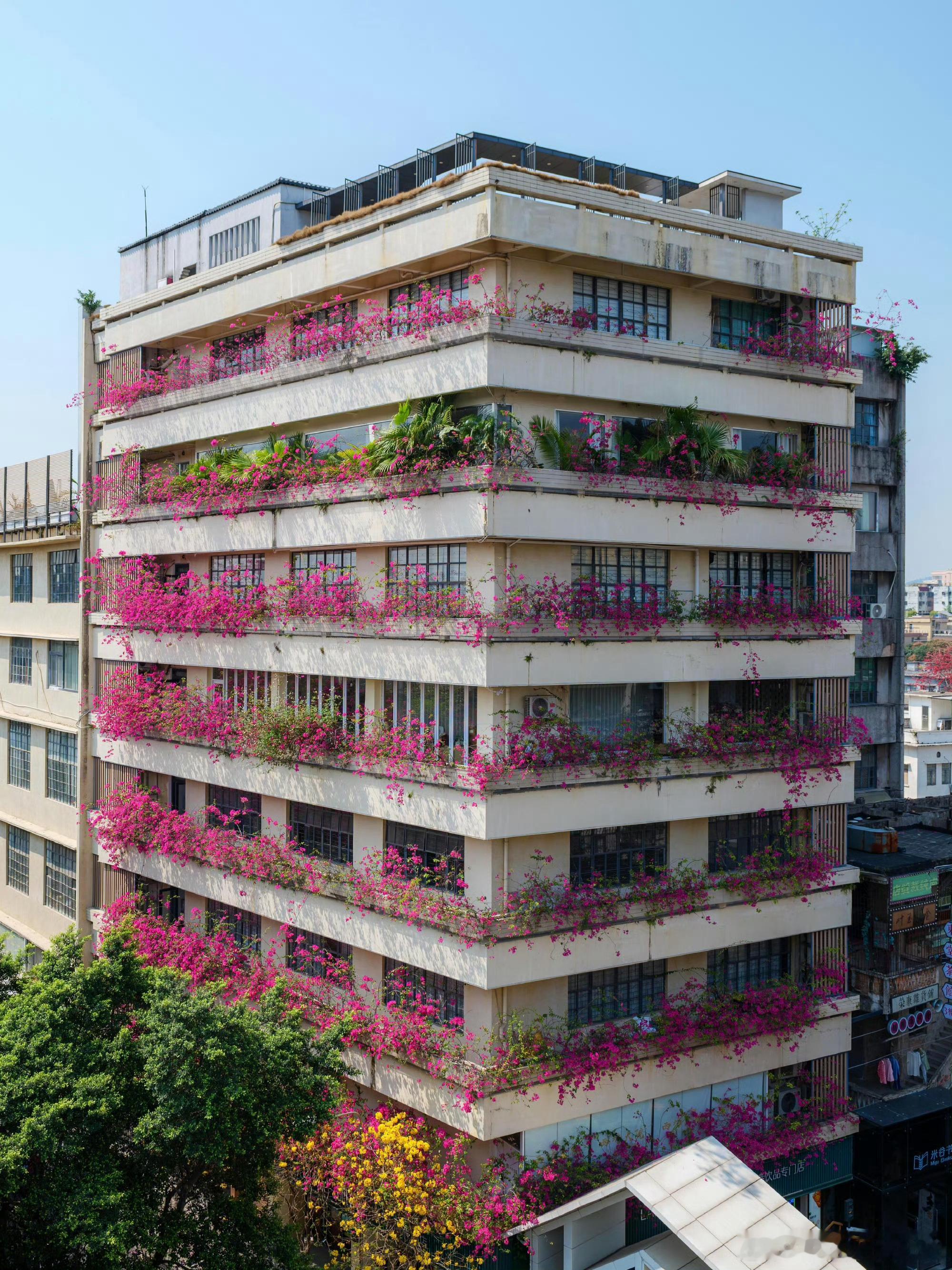 搬家择日实际上并不是指人入住的日子，更不是把家俱搬进家的时间，而是指生火开灶的时