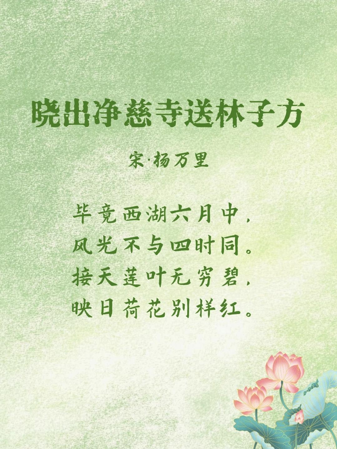 5首荷花古诗词 邀君共赏~
古人笔下的荷，
不与春争艳，不与夏争烈，
静静立于水