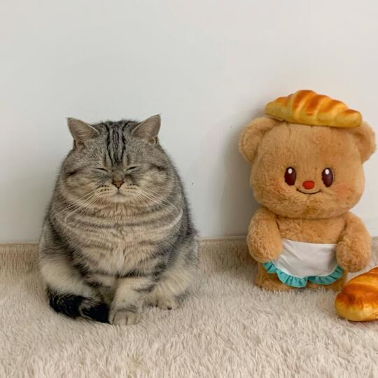 回奶奶家呆三天！就吃成这幅猪样子！🐷