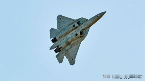 不怕制裁，印度想从俄罗斯购买战斗机和导弹防御系统

印度计划在普京访问期间，讨论