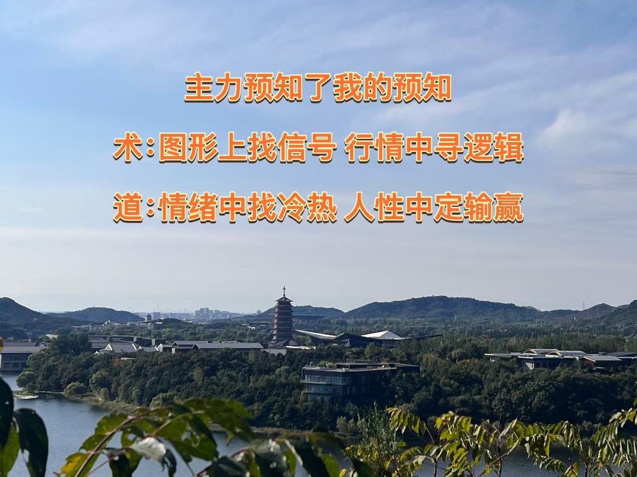 上热门话题🔥🔥🔥 登上山顶看美景