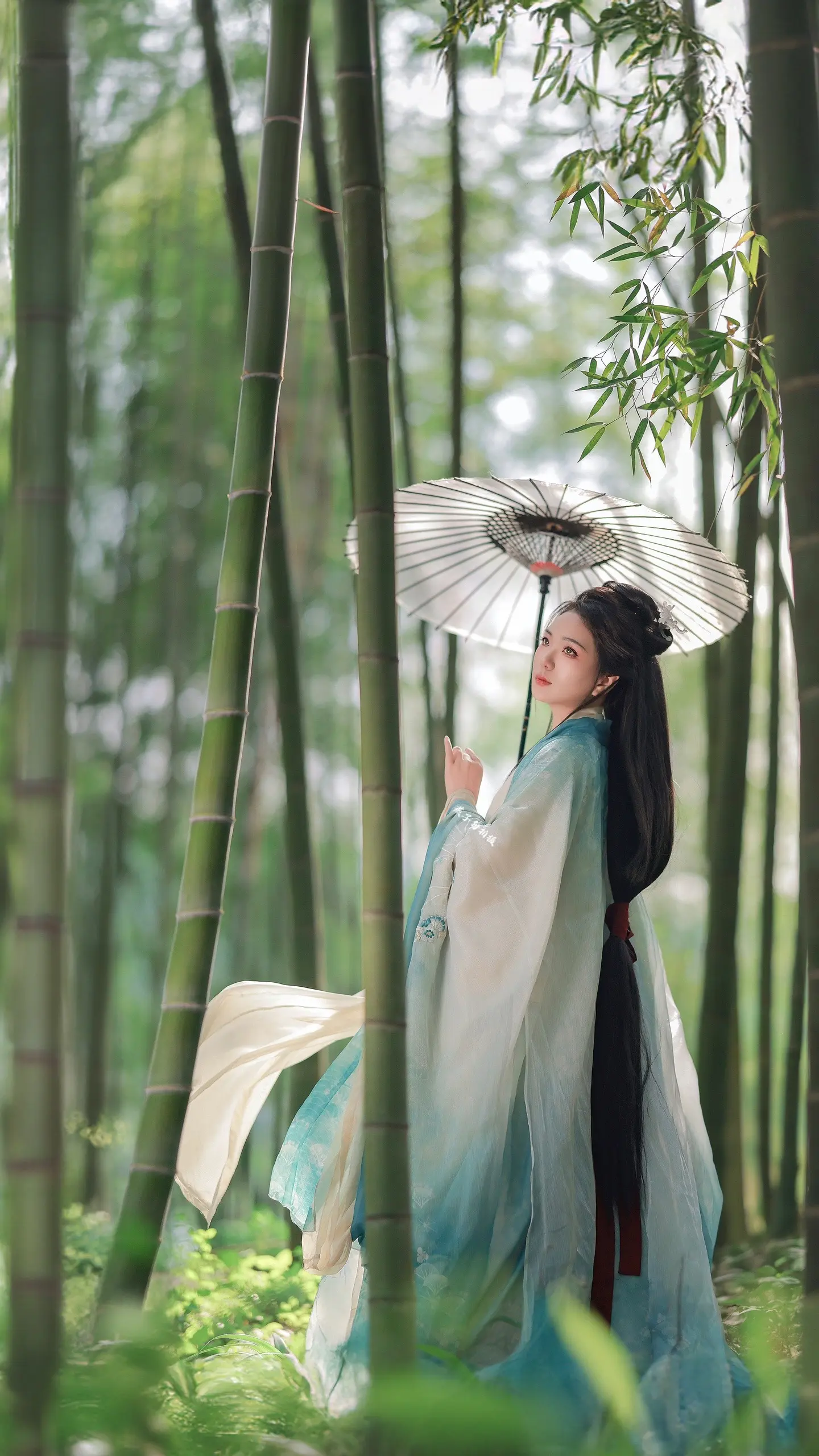 透光的竹林和不透光的竹林，你更喜欢喜欢哪种～