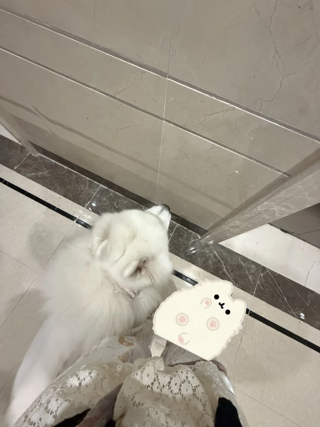 北京找拍照搭子一起玩